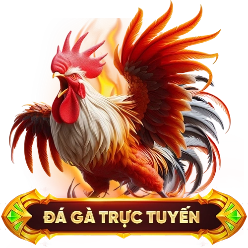 đá gà trực tuyến 68WIN